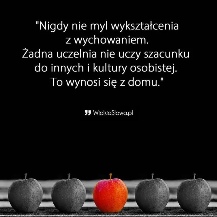 Cytaty, które przypominają o sile szacunku do pracownika