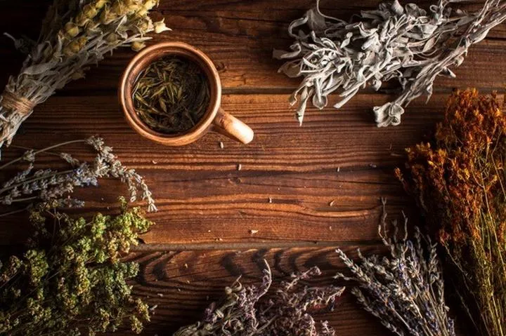 Magia ziół i zwierząt: Odkryj tajemnice natury w nowej książce