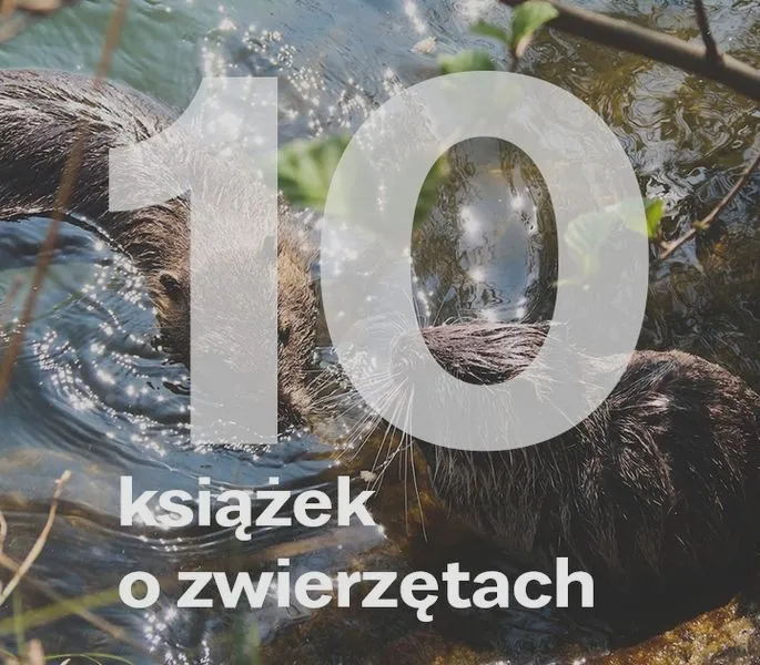 Najciekawsze książki o zwierzętach: tytuły i autorzy, których warto poznać