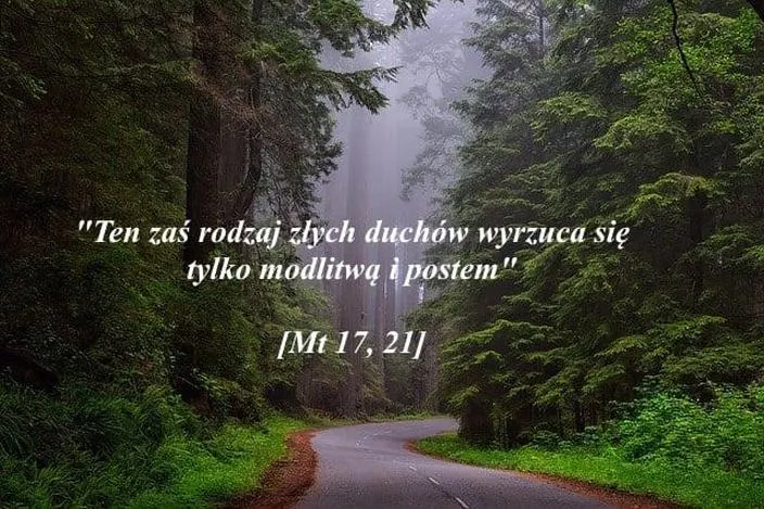 Cytaty z Biblii