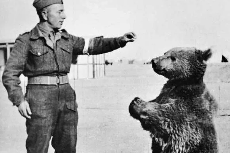 Letnie żniwa i losy