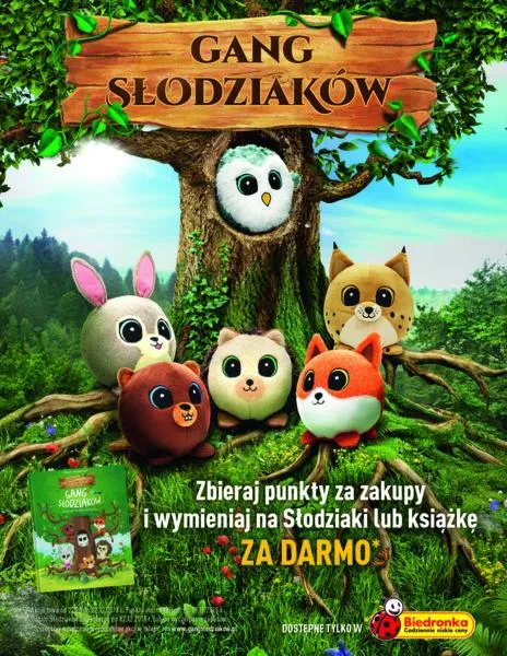 Motywacje i inspiracje