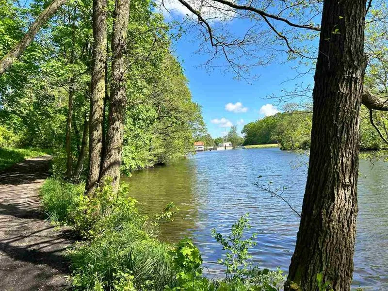 Natura w literaturze dziecięcej