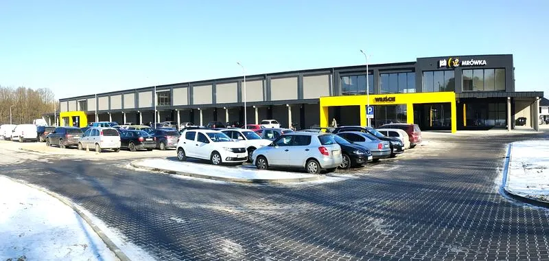 Praca mrówek w wierszach