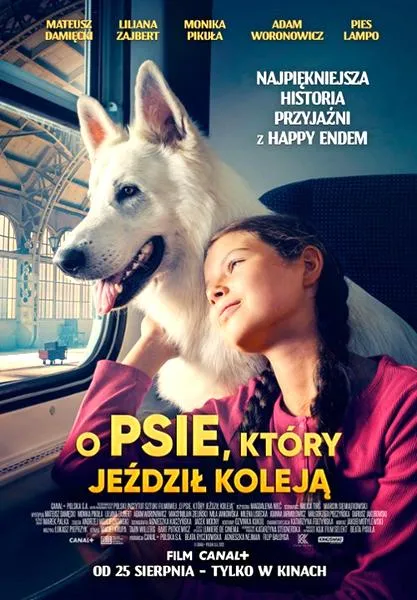 Przyjaźń psa i człowieka