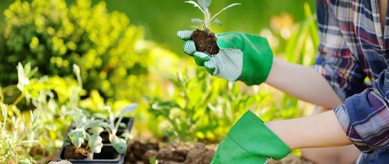 Recenzje książek ogrodniczych