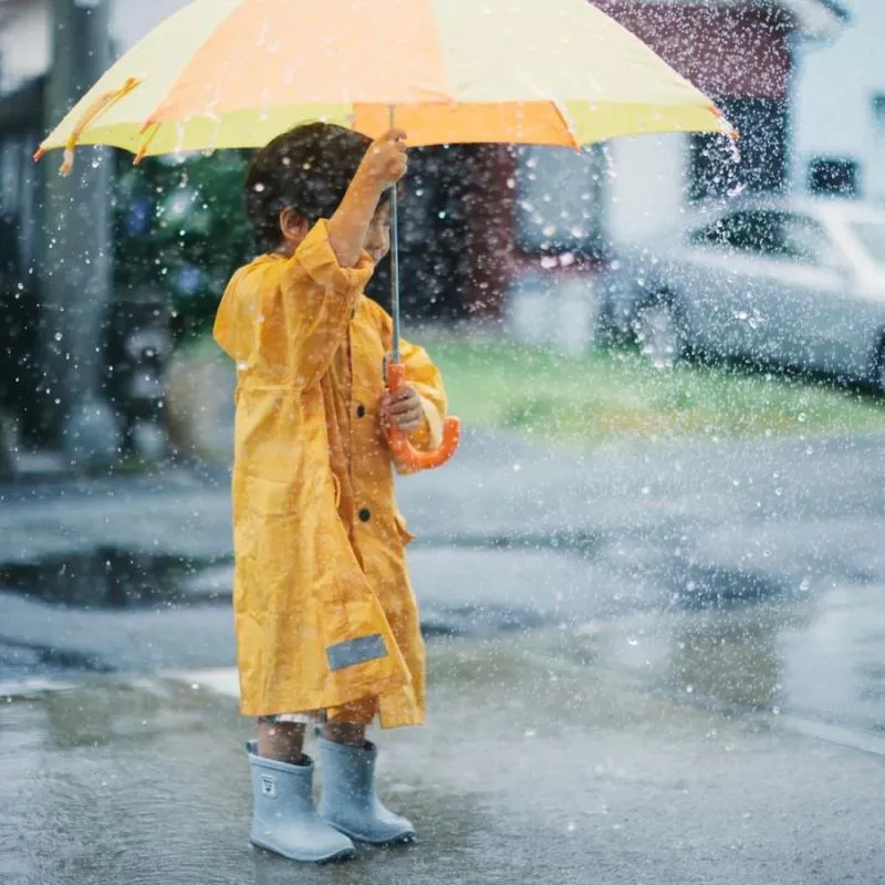 Refleksje na temat życia