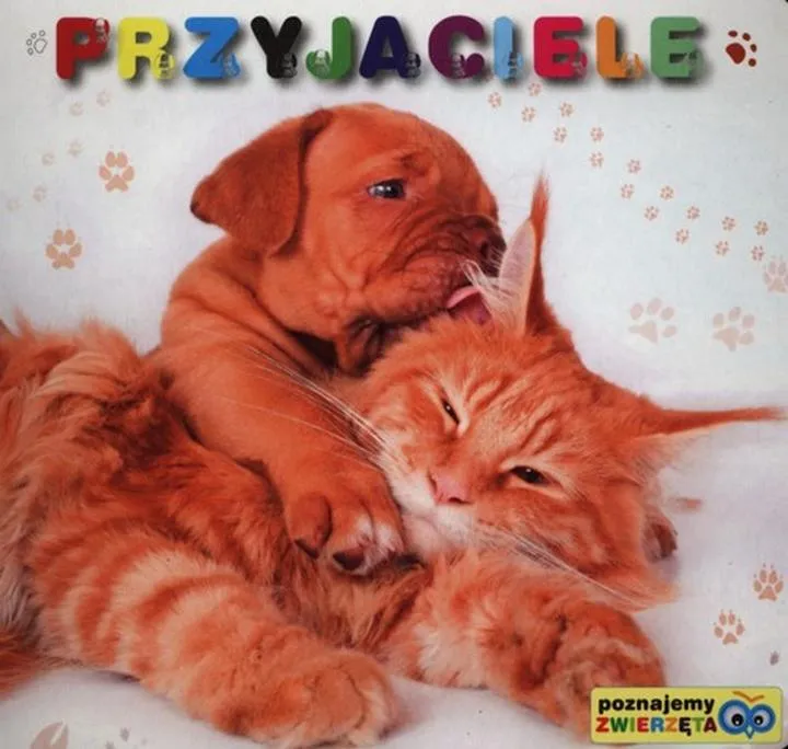 Relacje ludzi i zwierząt