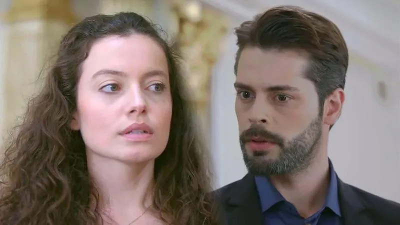 Zranione ptaki recenzja i analiza